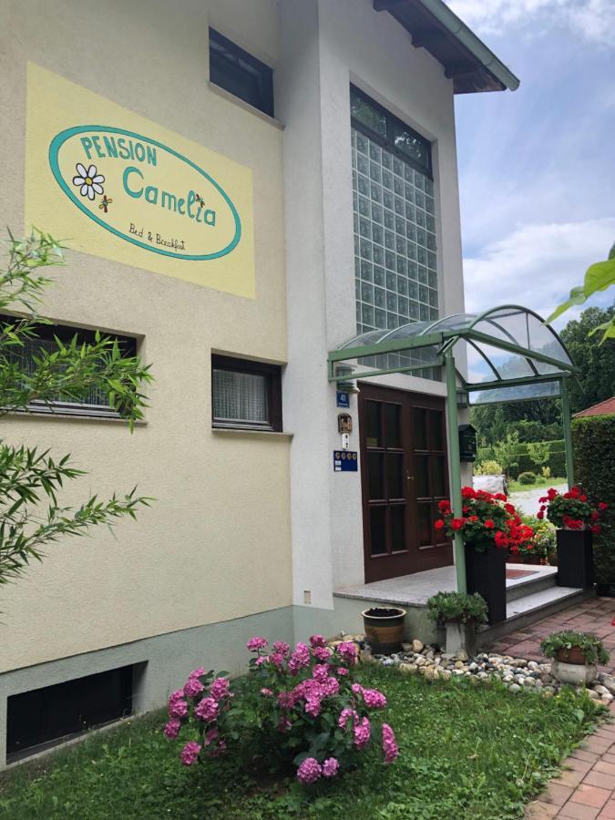 مبيت وإفطار باد تاتزماندورف Haus Camelia المظهر الخارجي الصورة
